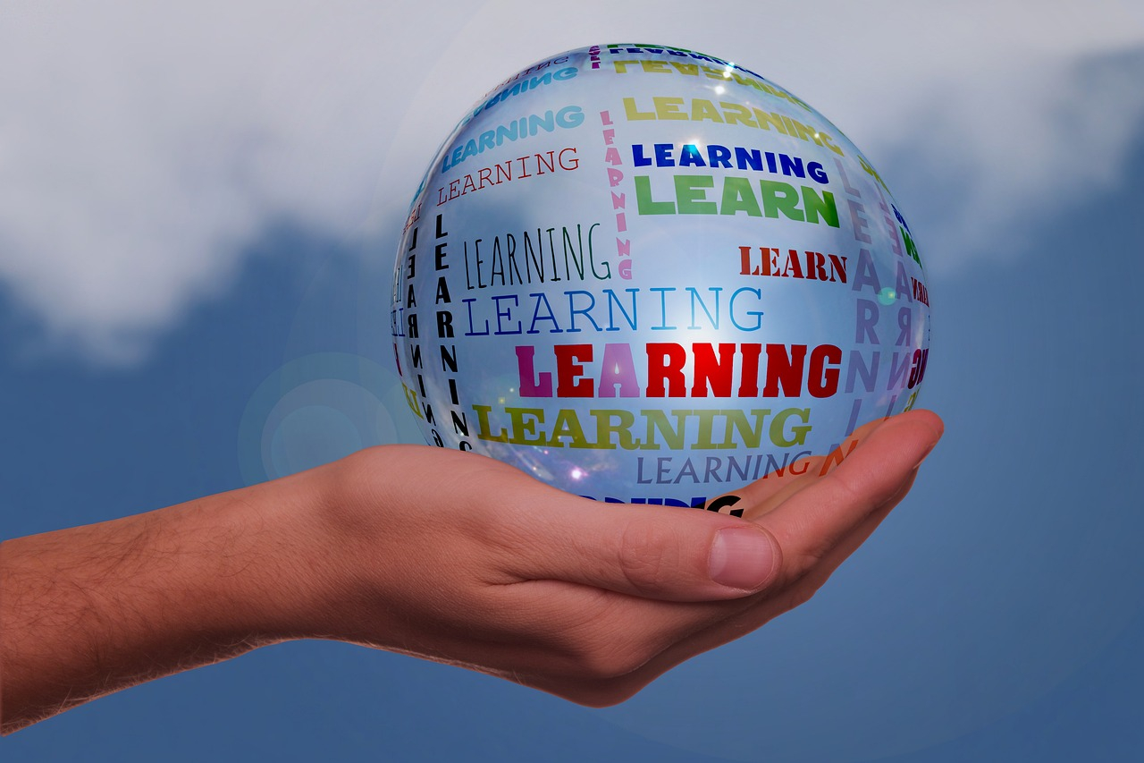 Learning Methods: Innovation Focus